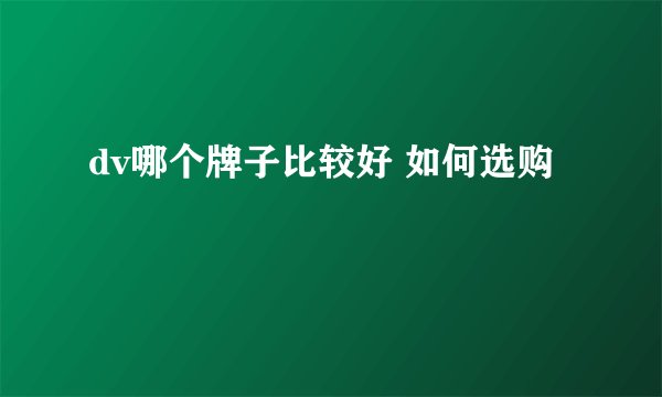 dv哪个牌子比较好 如何选购