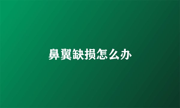 鼻翼缺损怎么办