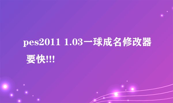pes2011 1.03一球成名修改器 要快!!!