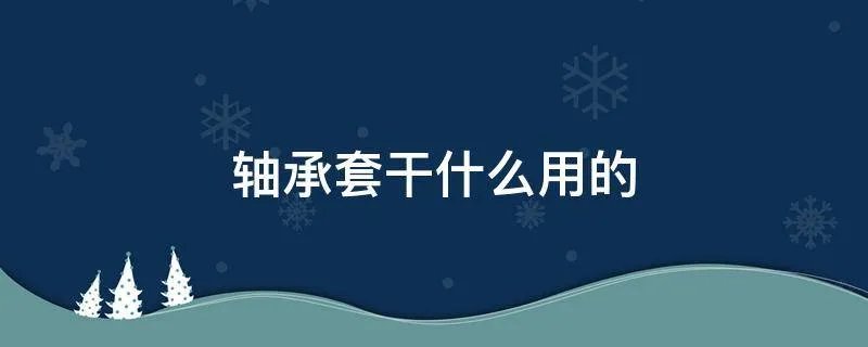 轴承套干什么用的