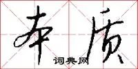 本质