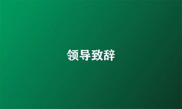 领导致辞