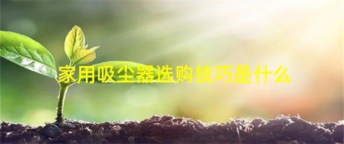 家用吸尘器选购技巧是什么