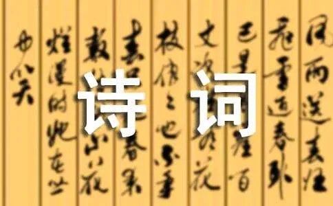 红楼梦里的诗词