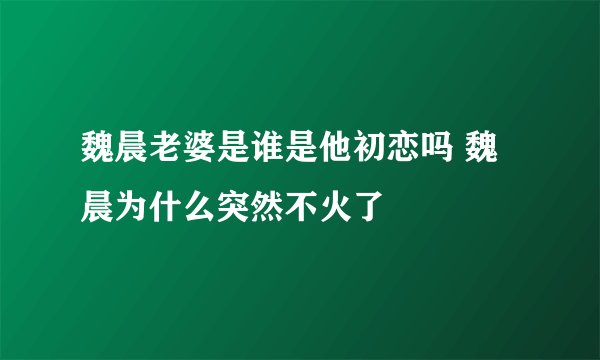 魏晨老婆是谁是他初恋吗 魏晨为什么突然不火了
