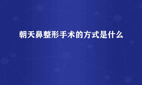 朝天鼻整形手术的方式是什么