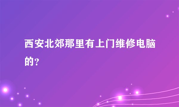 西安北郊那里有上门维修电脑的？