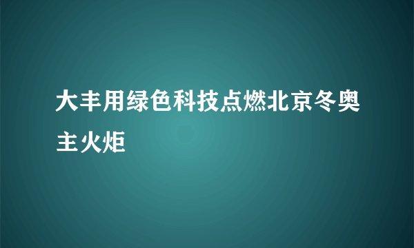 大丰用绿色科技点燃北京冬奥主火炬