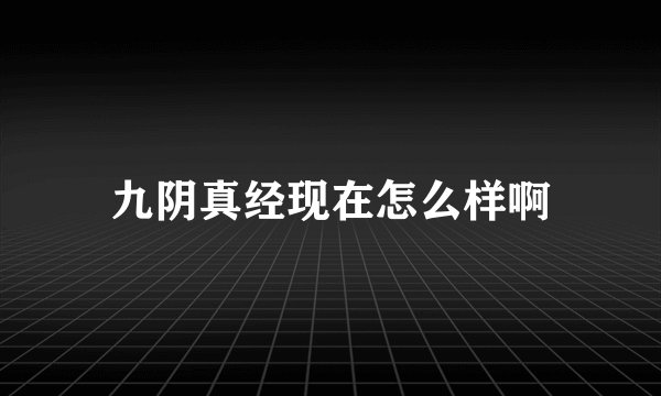 九阴真经现在怎么样啊