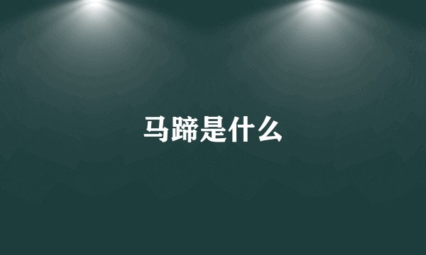 马蹄是什么