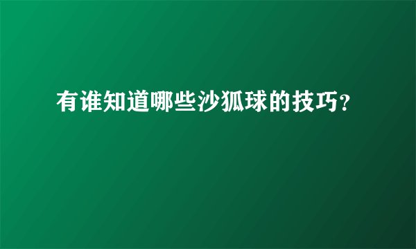 有谁知道哪些沙狐球的技巧？