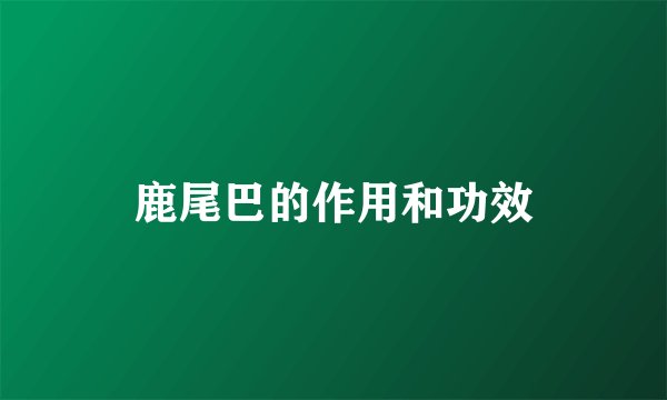 鹿尾巴的作用和功效