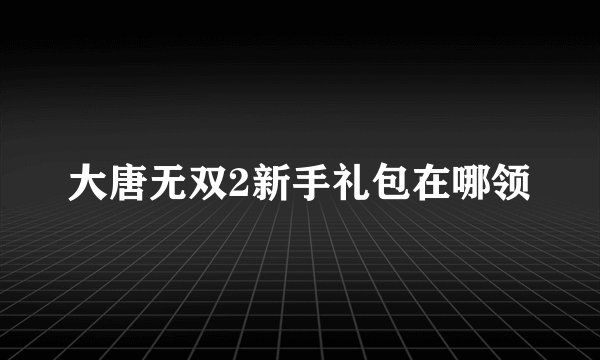 大唐无双2新手礼包在哪领
