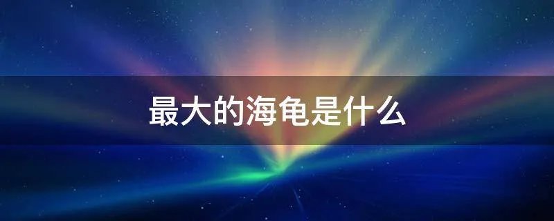 最大的海龟是什么