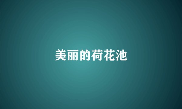 美丽的荷花池