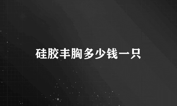 硅胶丰胸多少钱一只