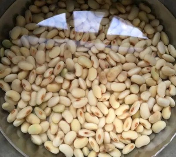 怎样炖猪蹄