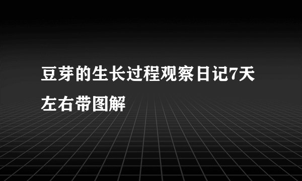 豆芽的生长过程观察日记7天左右带图解
