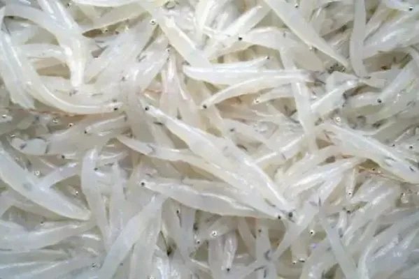安徽合肥必买的十大特产排行榜合肥烘糕上榜，第八用头发刺绣