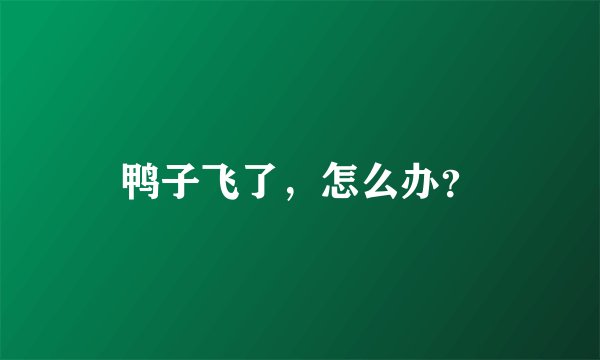 鸭子飞了，怎么办？