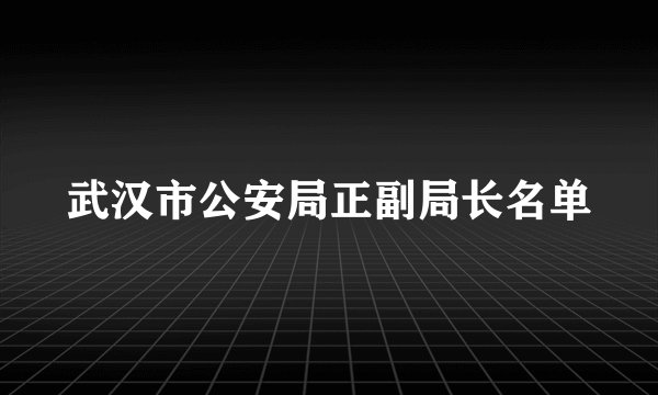 武汉市公安局正副局长名单