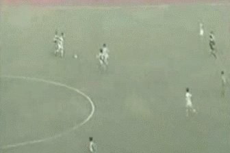 室友说宿茂臻很厉害,有谁能科普一下吗?