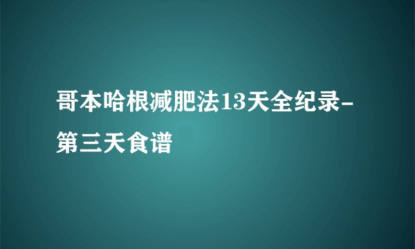哥本哈根减肥法13天全纪录-第三天食谱