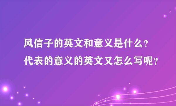 风信子的英文和意义是什么？代表的意义的英文又怎么写呢？