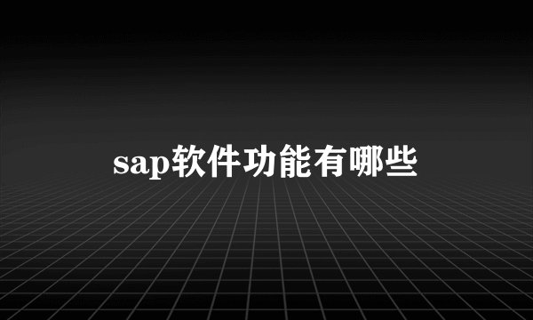 sap软件功能有哪些
