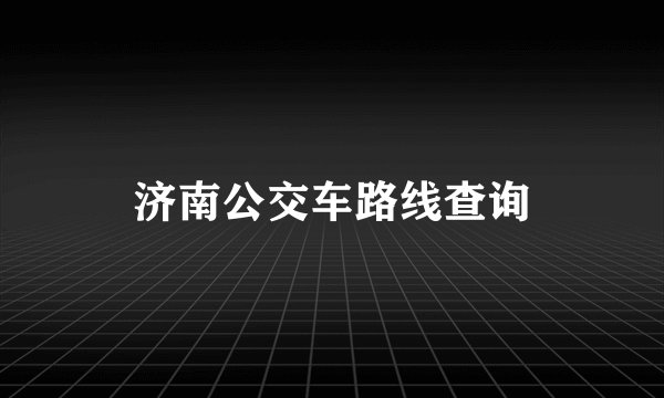 济南公交车路线查询