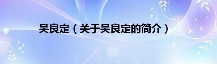 吴良定（关于吴良定的简介）