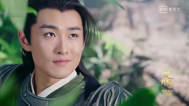 大家对男明星整容有什么看法?