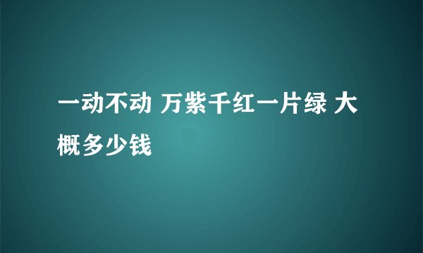 一动不动 万紫千红一片绿 大概多少钱