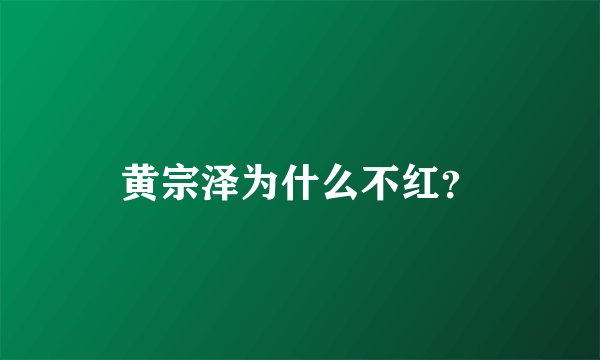 黄宗泽为什么不红？