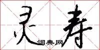 灵寿