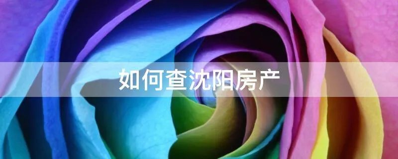 如何查沈阳房产
