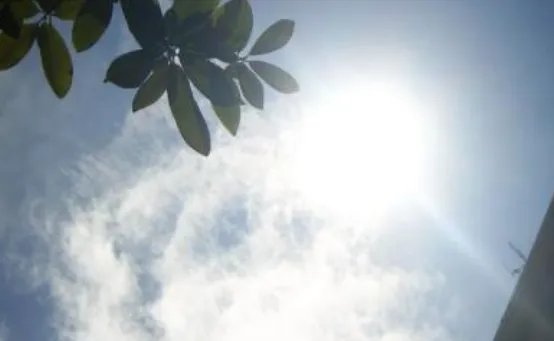 “史上最热夏天”是哪一天?这天究竟有多热?