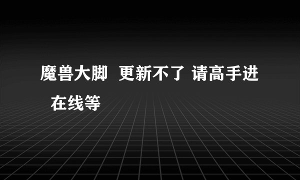 魔兽大脚  更新不了 请高手进   在线等