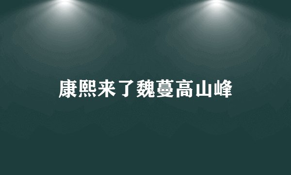 康熙来了魏蔓高山峰