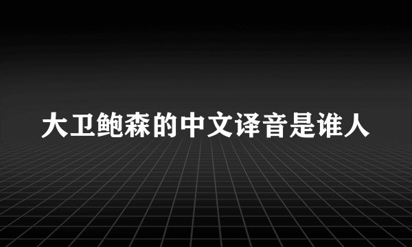 大卫鲍森的中文译音是谁人