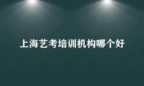 上海艺考培训机构哪个好