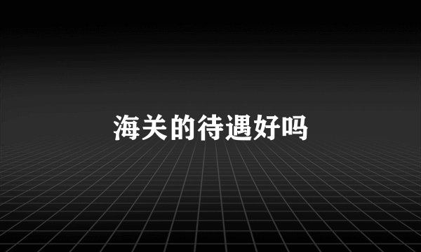 海关的待遇好吗