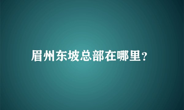 眉州东坡总部在哪里？