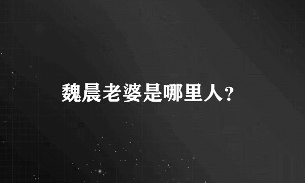 魏晨老婆是哪里人？