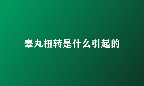 睾丸扭转是什么引起的