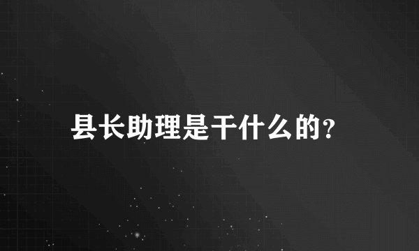 县长助理是干什么的？