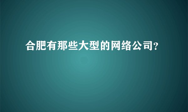 合肥有那些大型的网络公司？