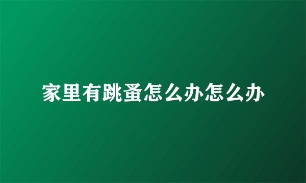 家里有跳蚤怎么办怎么办