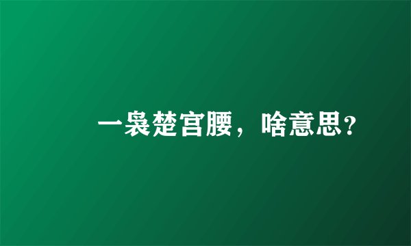 嬛嬛一袅楚宫腰，啥意思？