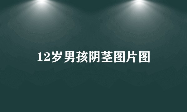 12岁男孩阴茎图片图